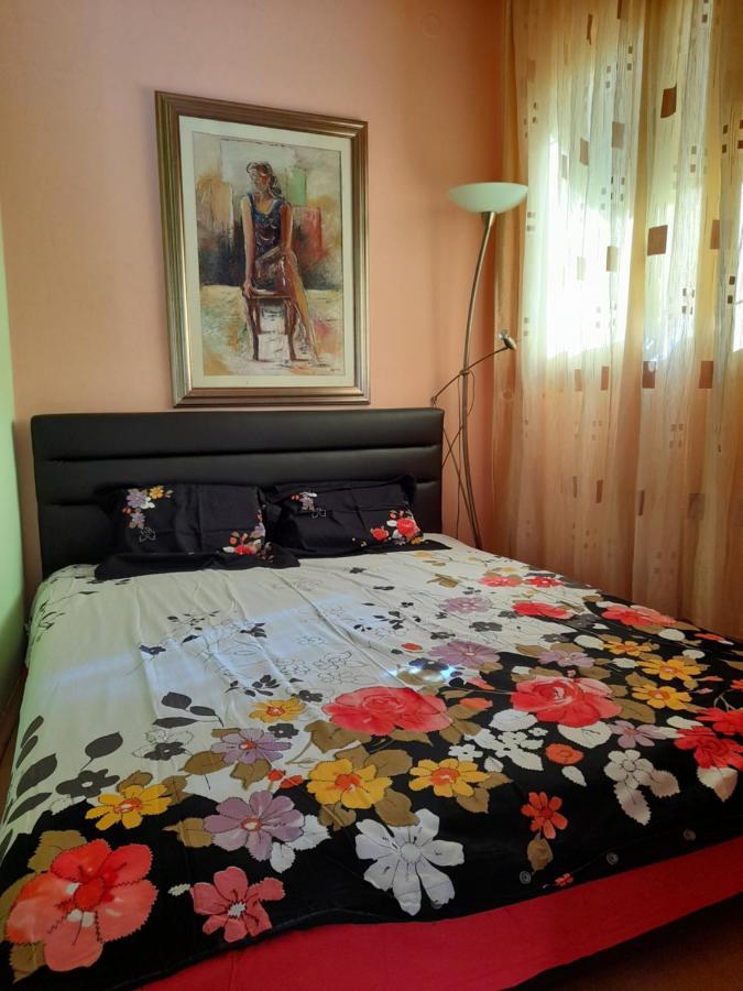 Villa Garden Apartments Herceg Novi Exterior foto